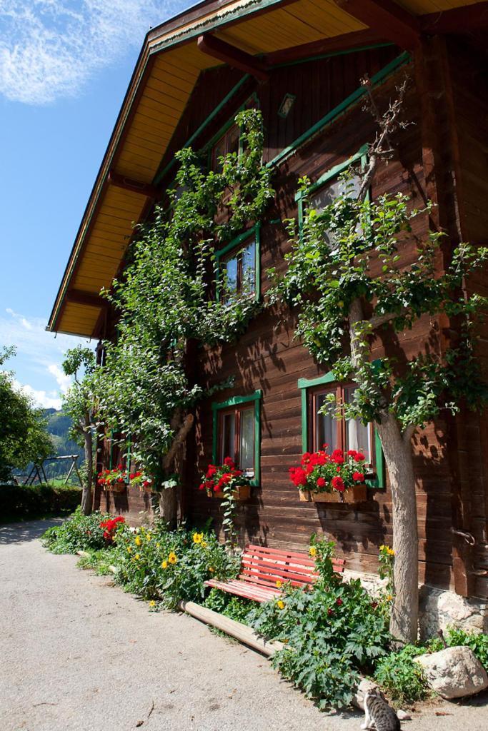 Zauchtaler Hof Ξενοδοχείο Altenmarkt im Pongau Εξωτερικό φωτογραφία