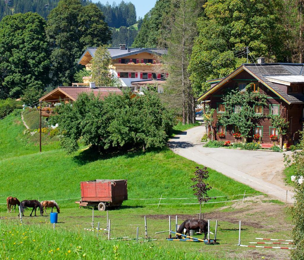 Zauchtaler Hof Ξενοδοχείο Altenmarkt im Pongau Εξωτερικό φωτογραφία